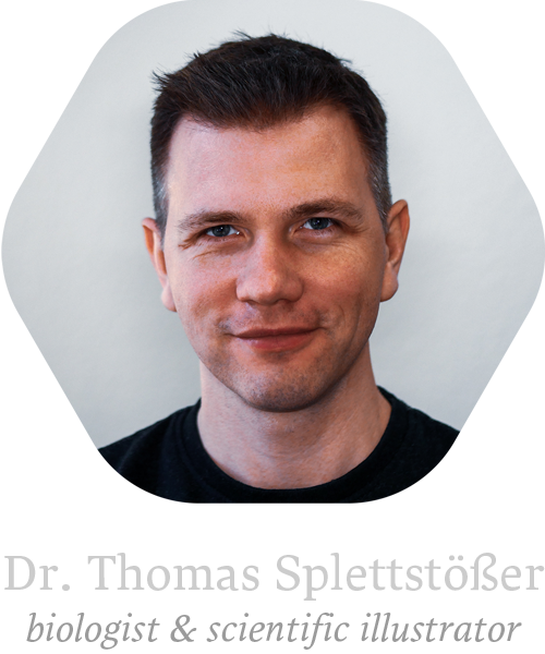 Dr. Thomas Splettstoesser