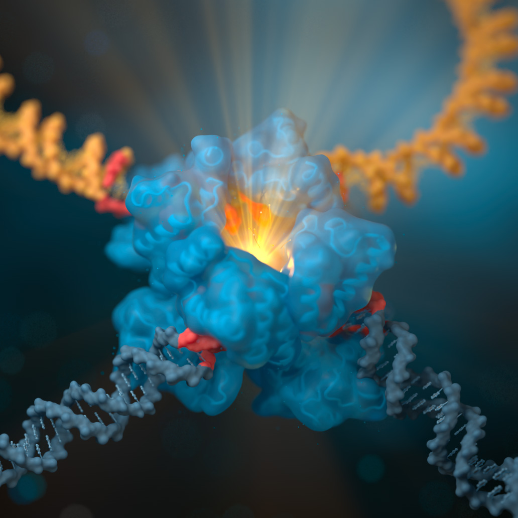 DNA Editing Animation