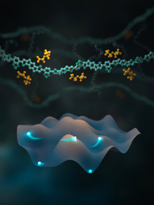 Transport physics of doped polymers